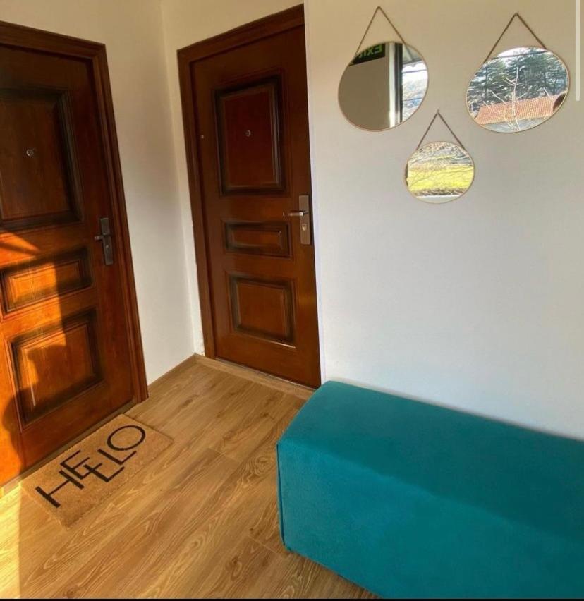 Apartman Vucinic Cetinje Bagian luar foto